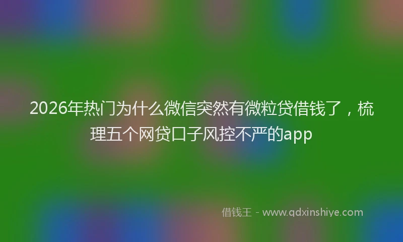 2026年热门为什么微信突然有微粒贷借钱了，梳理五个网贷口子风控不严的app