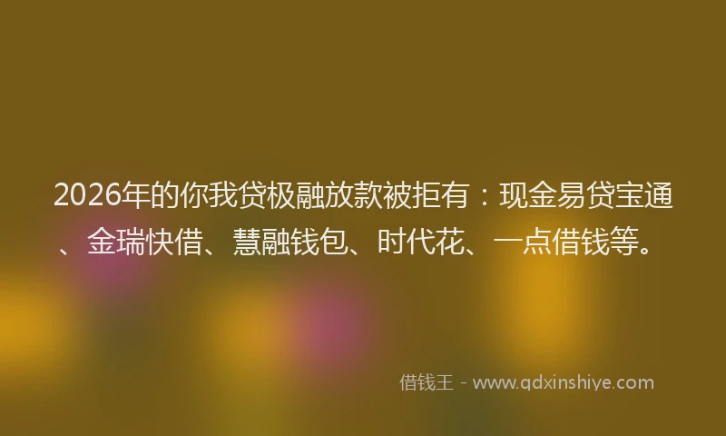 2026年的你我贷极融放款被拒有：现金易贷宝通、金瑞快借、慧融钱包、时代花、一点借钱等。