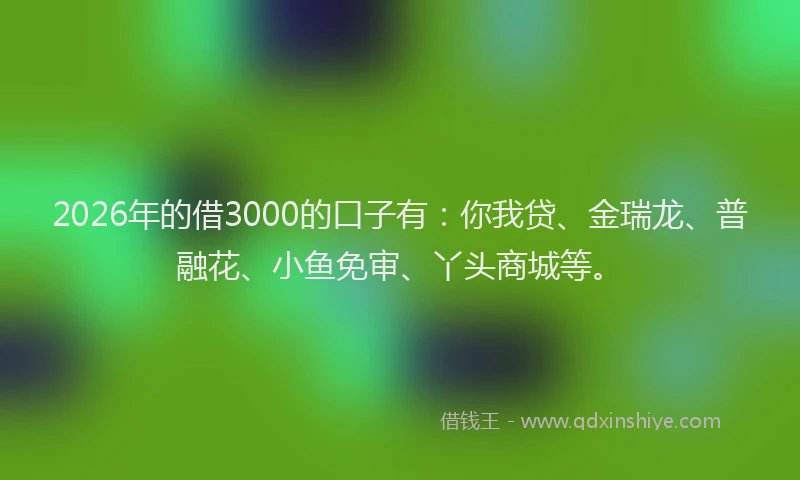 2026年的借3000的口子有：你我贷、金瑞龙、普融花、小鱼免审、丫头商城等。