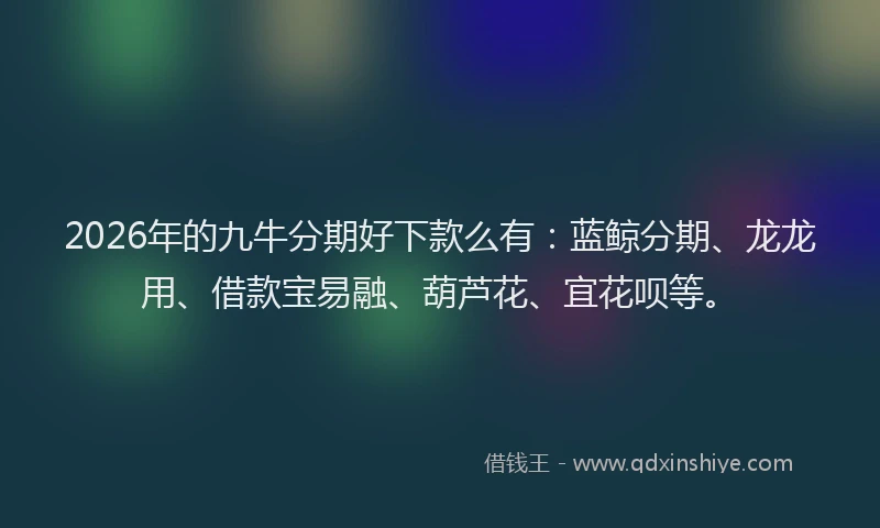 2026年的九牛分期好下款么有：蓝鲸分期、龙龙用、借款宝易融、葫芦花、宜花呗等。