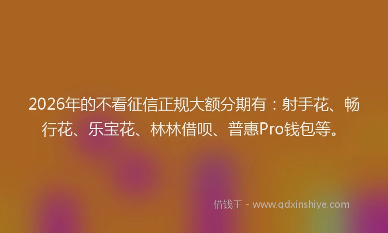 2026年的不看征信正规大额分期有：射手花、畅行花、乐宝花、林林借呗、普惠Pro钱包等。