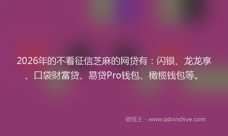 2026年的不看征信芝麻的网贷有：闪银、龙龙享、口袋财富贷、易贷Pro钱包、橄榄钱包等。