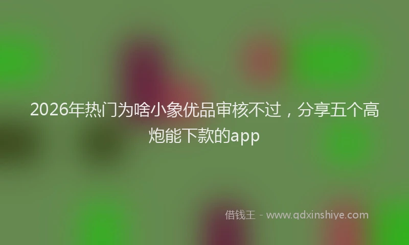 2026年热门为啥小象优品审核不过，分享五个高炮能下款的app