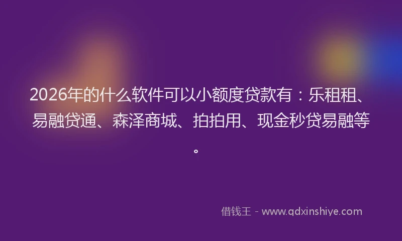 2026年的什么软件可以小额度贷款有：乐租租、易融贷通、森泽商城、拍拍用、现金秒贷易融等。