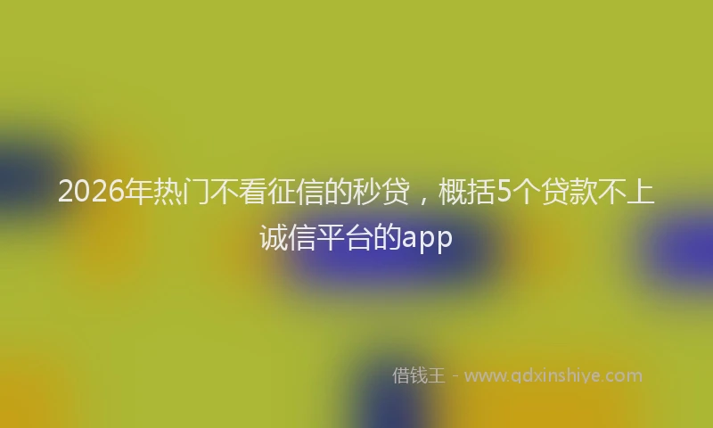 2026年热门不看征信的秒贷，概括5个贷款不上诚信平台的app