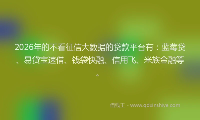 2026年的不看征信大数据的贷款平台有：蓝莓贷、易贷宝速借、钱袋快融、信用飞、米族金融等。
