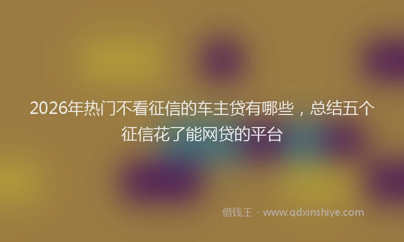 2026年热门不看征信的车主贷有哪些，总结五个征信花了能网贷的平台