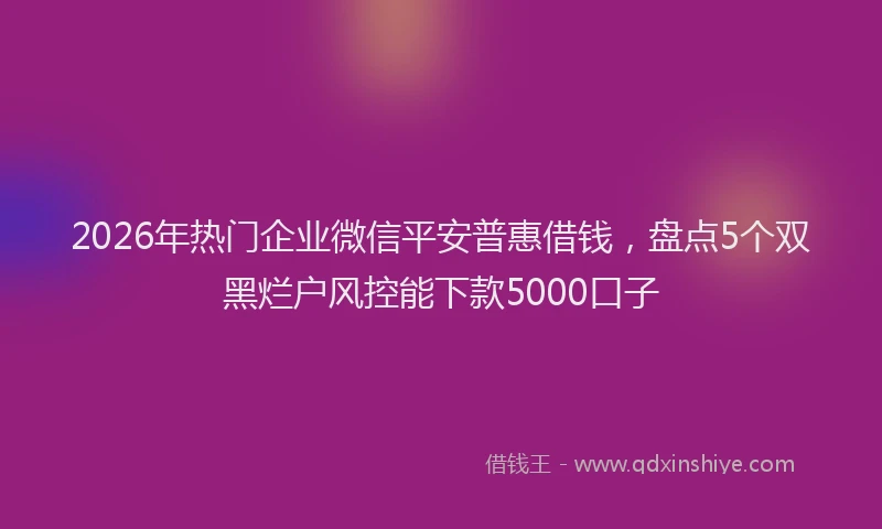 2026年热门企业微信平安普惠借钱，盘点5个双黑烂户风控能下款5000口子