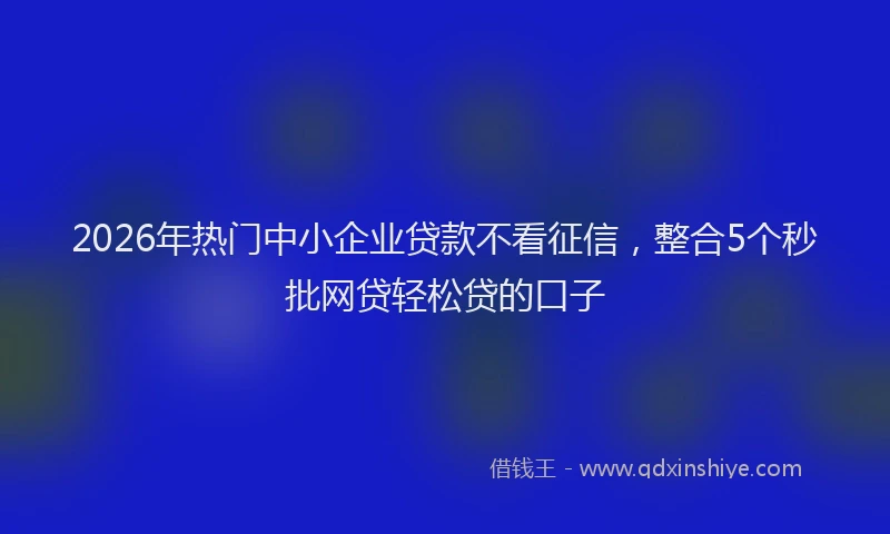 2026年热门中小企业贷款不看征信，整合5个秒批网贷轻松贷的口子