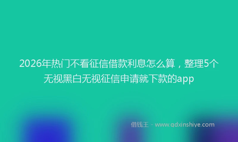 2026年热门不看征信借款利息怎么算，整理5个无视黑白无视征信申请就下款的app