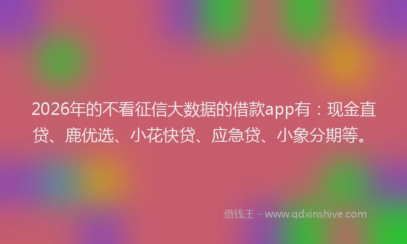 2026年的不看征信大数据的借款app有：现金直贷、鹿优选、小花快贷、应急贷、小象分期等。
