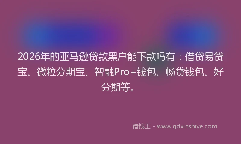 2026年的亚马逊贷款黑户能下款吗有：借贷易贷宝、微粒分期宝、智融Pro+钱包、畅贷钱包、好分期等。