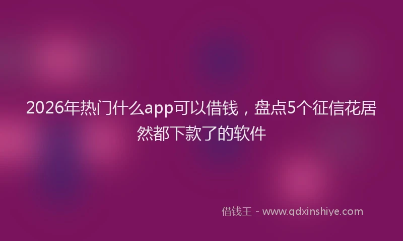 2026年热门什么app可以借钱，盘点5个征信花居然都下款了的软件