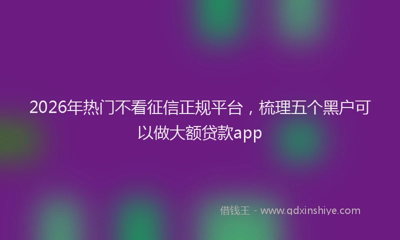 2026年热门不看征信正规平台，梳理五个黑户可以做大额贷款app