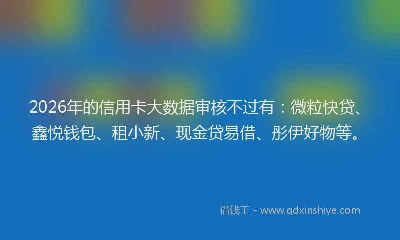 2026年的信用卡大数据审核不过有：微粒快贷、鑫悦钱包、租小新、现金贷易借、彤伊好物等。