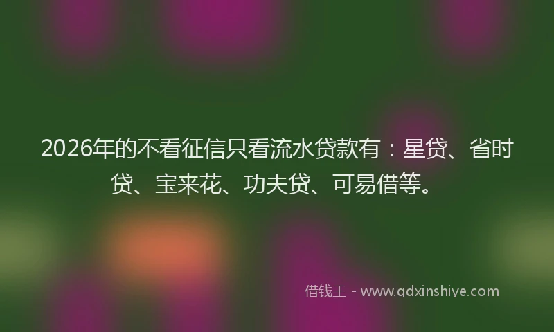 2026年的不看征信只看流水贷款有：星贷、省时贷、宝来花、功夫贷、可易借等。