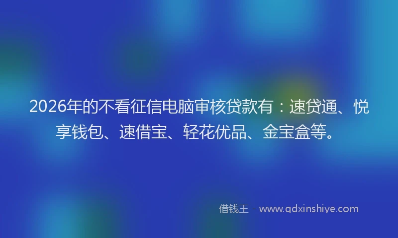 2026年的不看征信电脑审核贷款有：速贷通、悦享钱包、速借宝、轻花优品、金宝盒等。