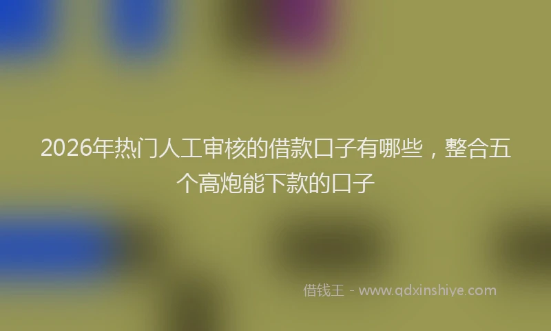 2026年热门人工审核的借款口子有哪些，整合五个高炮能下款的口子