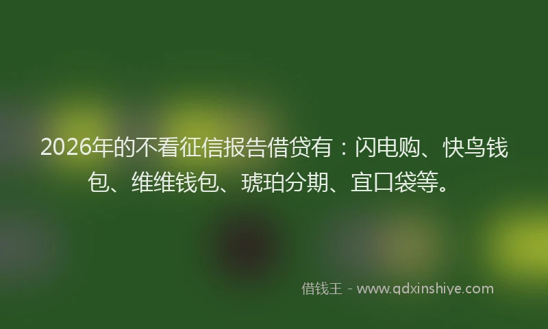 2026年的不看征信报告借贷有：闪电购、快鸟钱包、维维钱包、琥珀分期、宜口袋等。