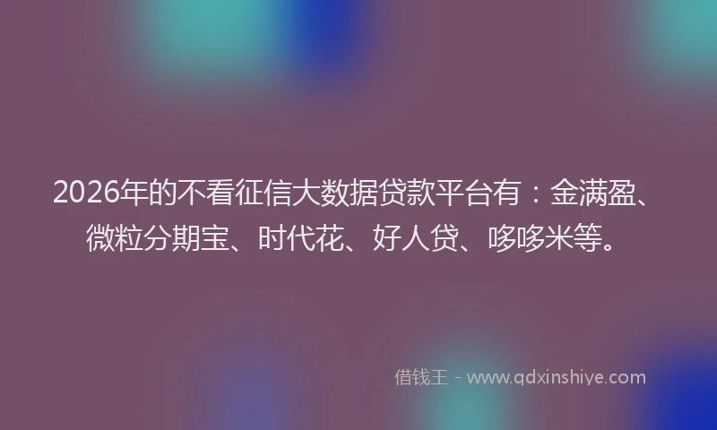 2026年的不看征信大数据贷款平台有：金满盈、微粒分期宝、时代花、好人贷、哆哆米等。