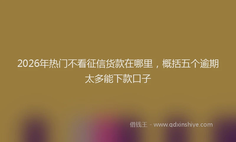 2026年热门不看征信货款在哪里，概括五个逾期太多能下款口子