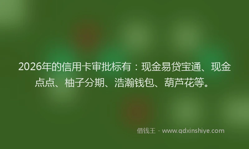 2026年的信用卡审批标有：现金易贷宝通、现金点点、柚子分期、浩瀚钱包、葫芦花等。