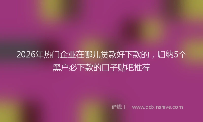 2026年热门企业在哪儿贷款好下款的，归纳5个黑户必下款的口子贴吧推荐