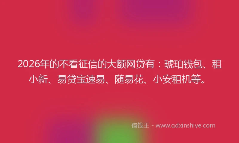 2026年的不看征信的大额网贷有：琥珀钱包、租小新、易贷宝速易、随易花、小安租机等。