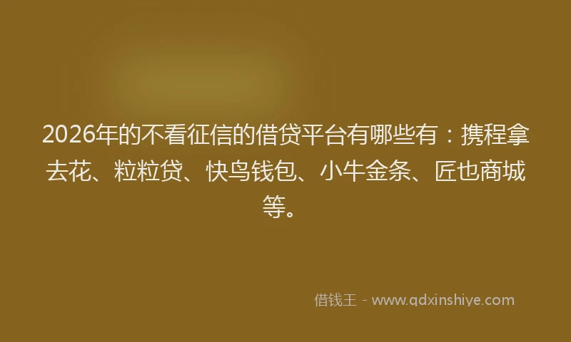 2026年的不看征信的借贷平台有哪些有：携程拿去花、粒粒贷、快鸟钱包、小牛金条、匠也商城等。