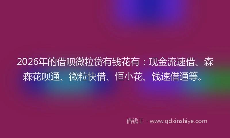 2026年的借呗微粒贷有钱花有：现金流速借、森森花呗通、微粒快借、恒小花、钱速借通等。