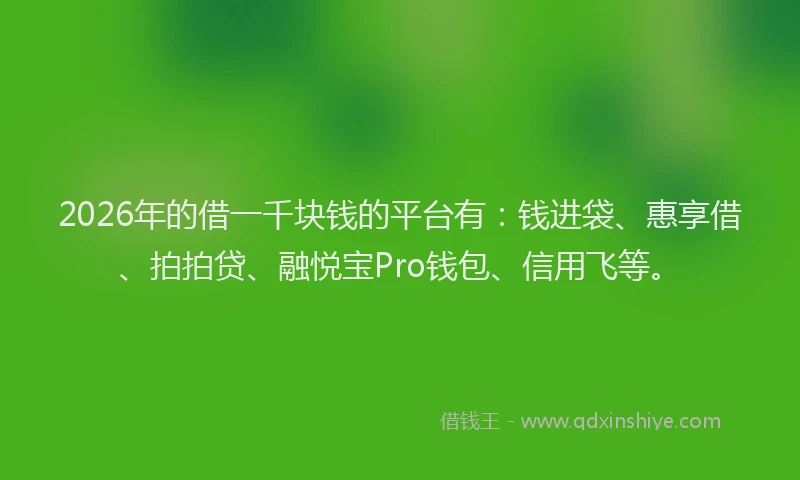 2026年的借一千块钱的平台有：钱进袋、惠享借、拍拍贷、融悦宝Pro钱包、信用飞等。