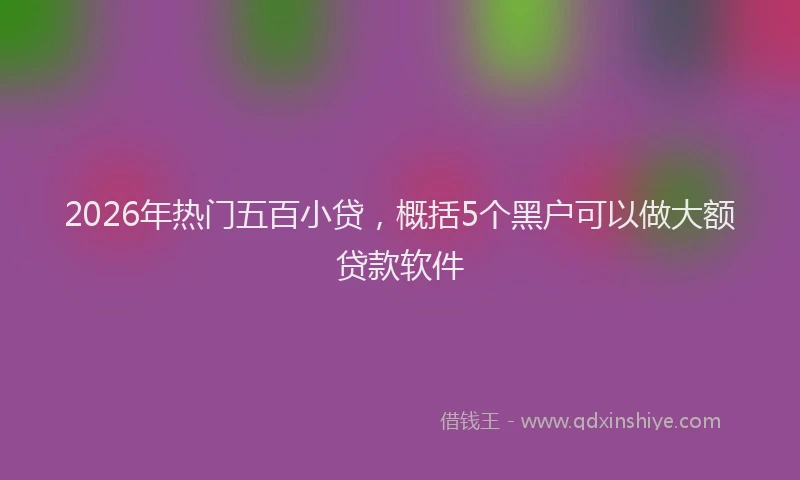 2026年热门五百小贷，概括5个黑户可以做大额贷款软件