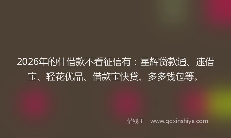 2026年的什借款不看征信有：星辉贷款通、速借宝、轻花优品、借款宝快贷、多多钱包等。