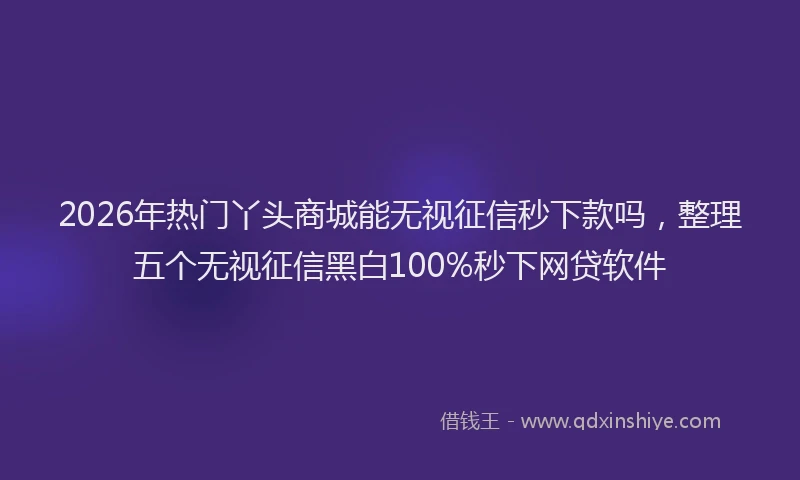2026年热门丫头商城能无视征信秒下款吗，整理五个无视征信黑白100%秒下网贷软件