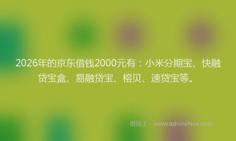 2026年的京东借钱2000元有：小米分期宝、快融贷宝盒、易融贷宝、榕贝、速贷宝等。