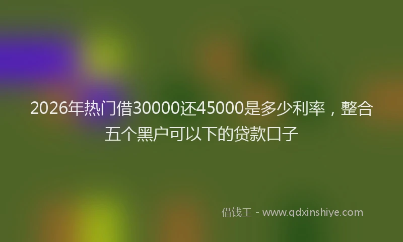 2026年热门借30000还45000是多少利率，整合五个黑户可以下的贷款口子