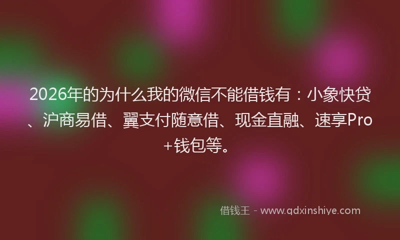 2026年的为什么我的微信不能借钱有：小象快贷、沪商易借、翼支付随意借、现金直融、速享Pro+钱包等。