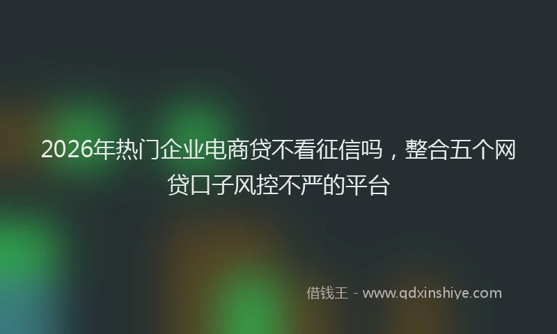 2026年热门企业电商贷不看征信吗，整合五个网贷口子风控不严的平台