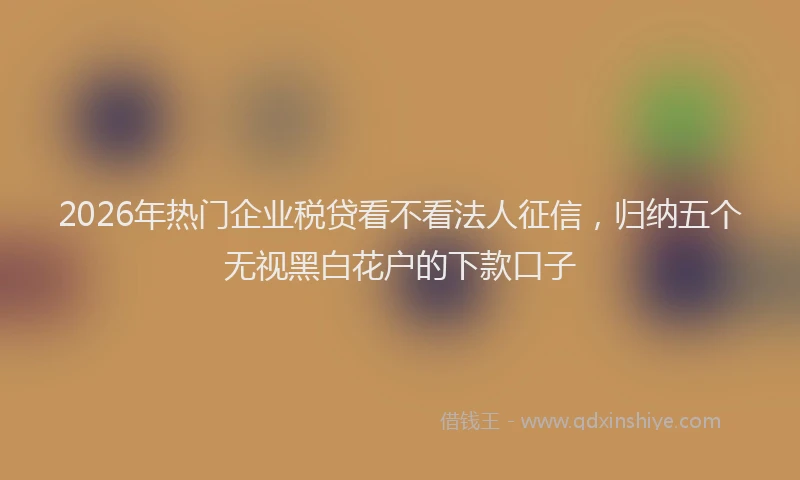 2026年热门企业税贷看不看法人征信，归纳五个无视黑白花户的下款口子
