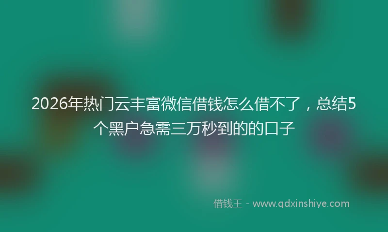2026年热门云丰富微信借钱怎么借不了，总结5个黑户急需三万秒到的的口子