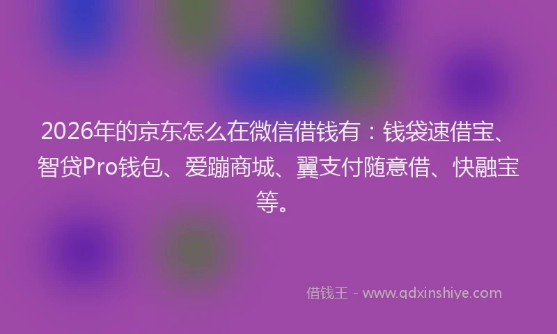 2026年的京东怎么在微信借钱有：钱袋速借宝、智贷Pro钱包、爱蹦商城、翼支付随意借、快融宝等。