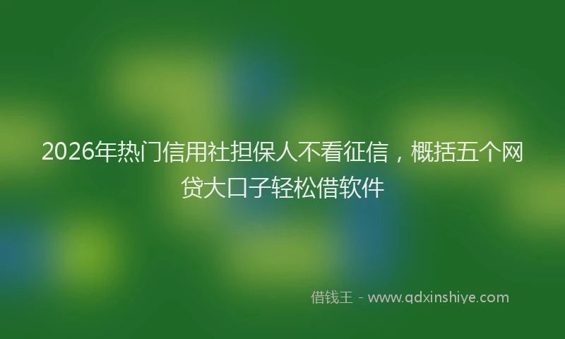 2026年热门信用社担保人不看征信，概括五个网贷大口子轻松借软件