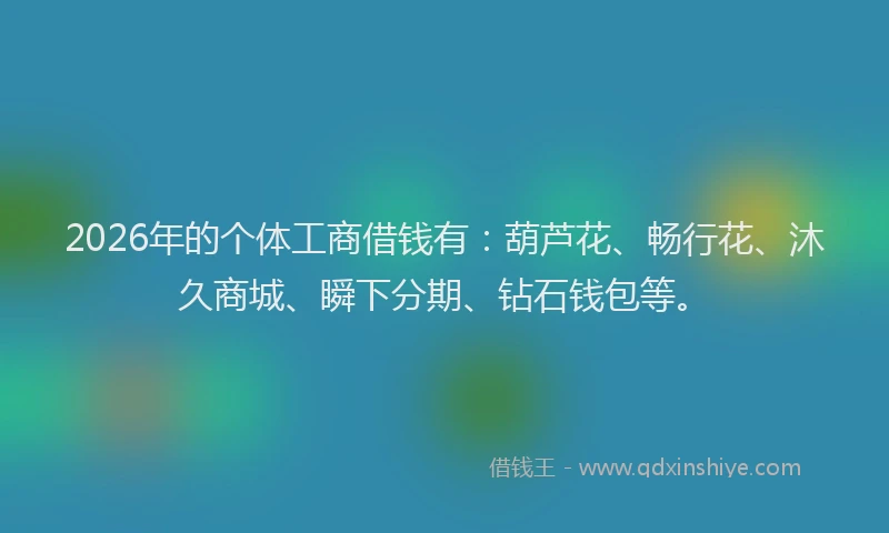 2026年的个体工商借钱有：葫芦花、畅行花、沐久商城、瞬下分期、钻石钱包等。