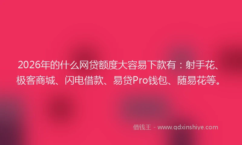 2026年的什么网贷额度大容易下款有：射手花、极客商城、闪电借款、易贷Pro钱包、随易花等。