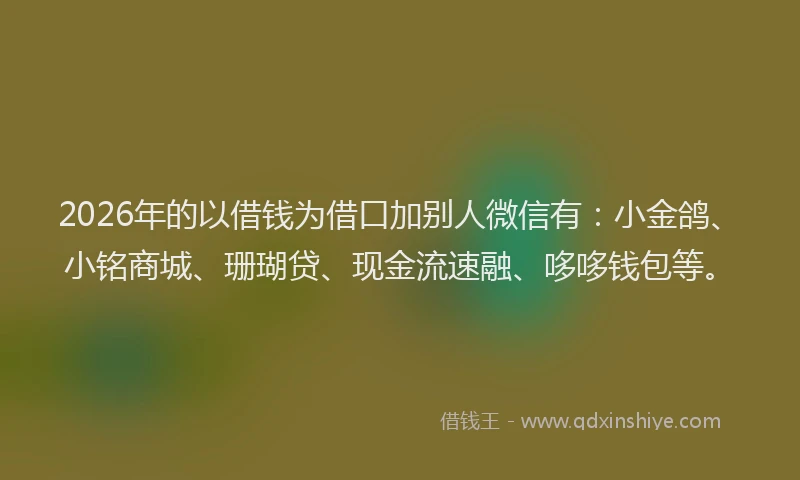 2026年的以借钱为借口加别人微信有：小金鸽、小铭商城、珊瑚贷、现金流速融、哆哆钱包等。