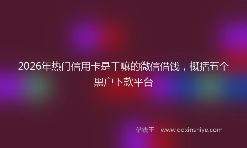 2026年热门信用卡是干嘛的微信借钱，概括五个黑户下款平台