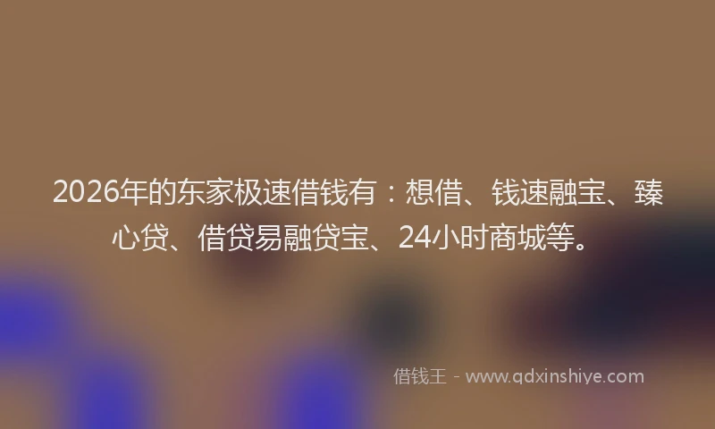 2026年的东家极速借钱有：想借、钱速融宝、臻心贷、借贷易融贷宝、24小时商城等。