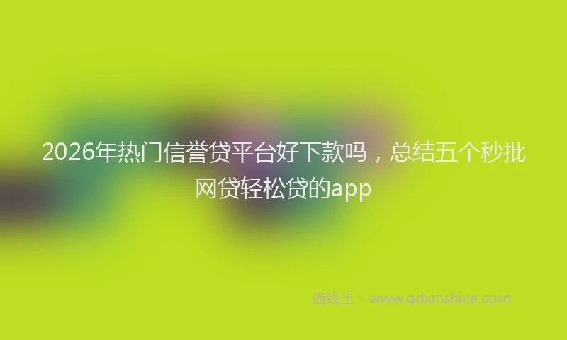 2026年热门信誉贷平台好下款吗，总结五个秒批网贷轻松贷的app