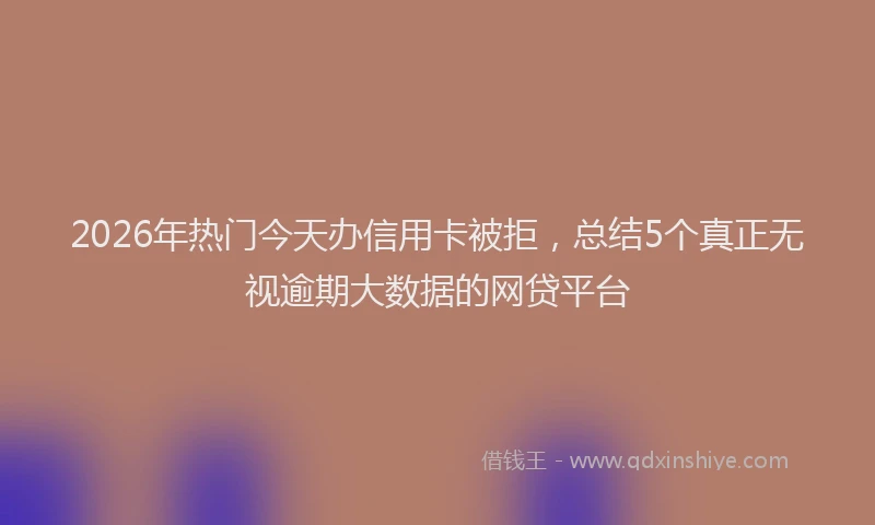 2026年热门今天办信用卡被拒，总结5个真正无视逾期大数据的网贷平台