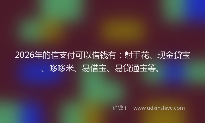 2026年的信支付可以借钱有：射手花、现金贷宝、哆哆米、易借宝、易贷通宝等。